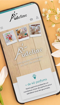 boutique en ligne responsive
